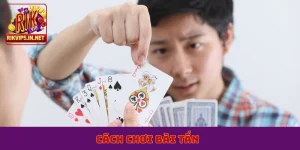 cách chơi bài tấn