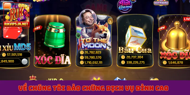 Về chúng tôi bảo chứng dịch vụ đỉnh cao